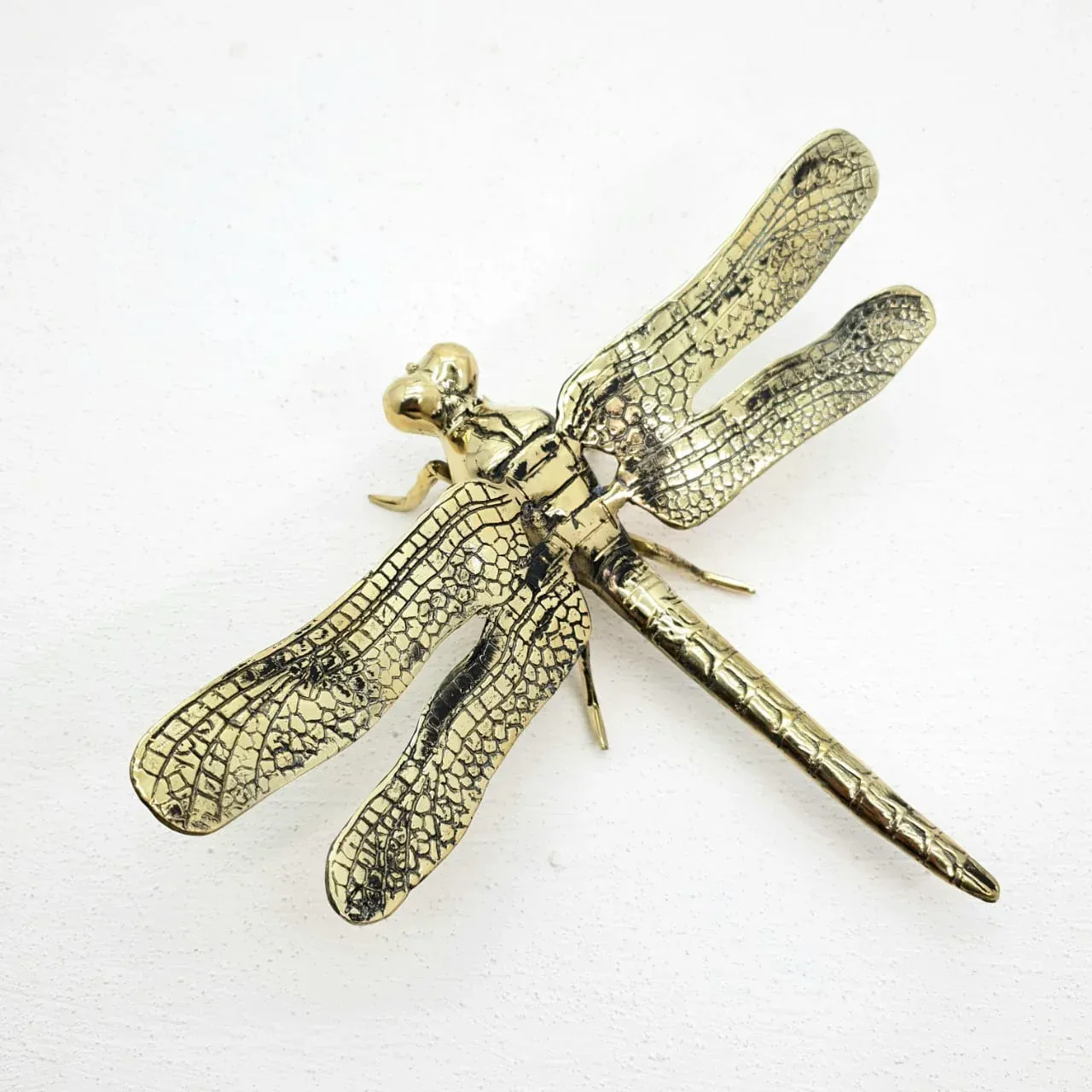 Dragonfly — main view